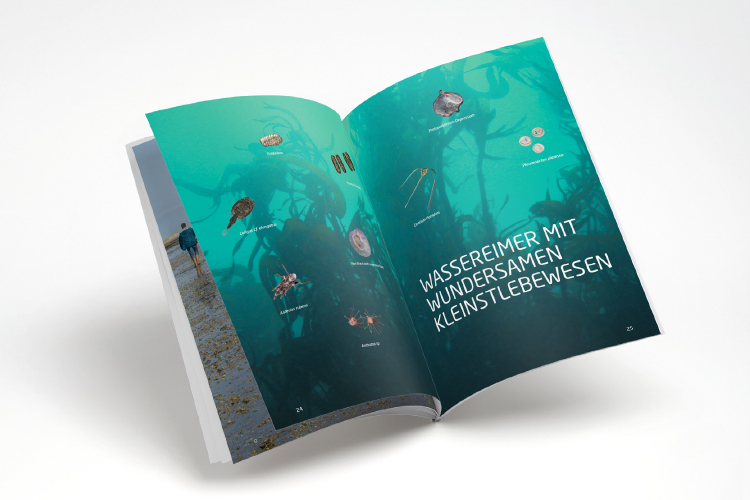 AWI Broschüre-Helgoland-Sylt Doppelseite