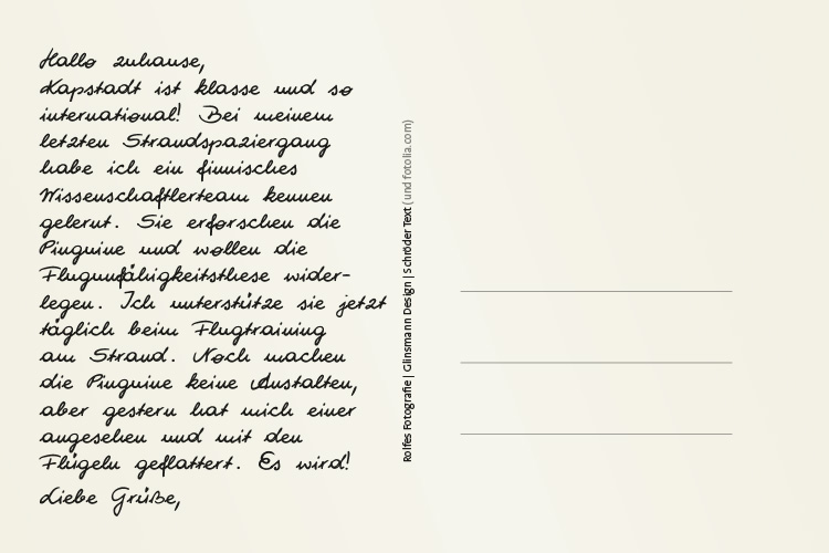 Postkartenaktion im Künstlerhaus Bremen: Pinguinext